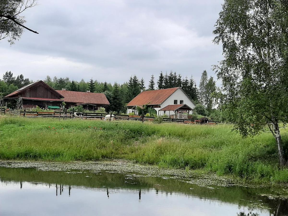 Jablkowo-Na Skraju Puszczy Boreckiej Sniadania W Cenie Jablonowo Екстериор снимка